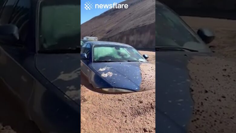 Our Cars Got Stuck In The Mud