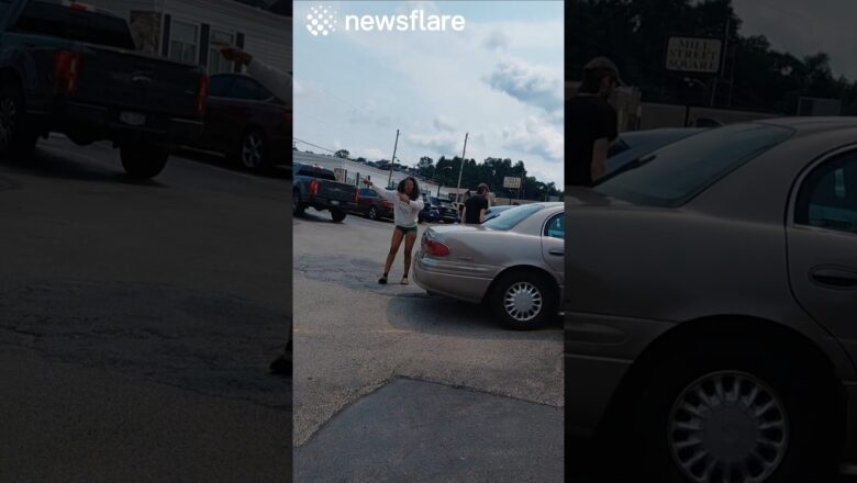 Road Rage Turns Into a Full FIght