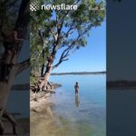 Rope Swing Goes Horribly Wrong
