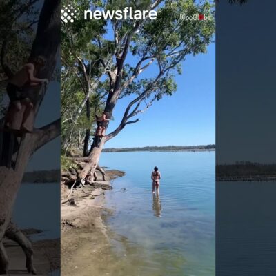Rope Swing Goes Horribly Wrong