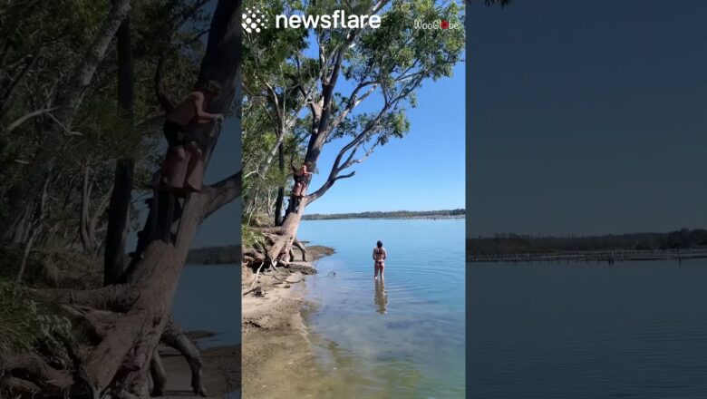 Rope Swing Goes Horribly Wrong