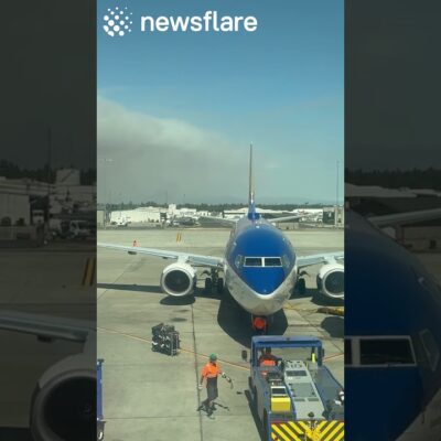 Smoke Delays Plane Due To Forest Fire