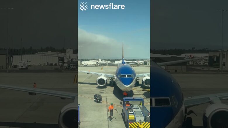 Smoke Delays Plane Due To Forest Fire