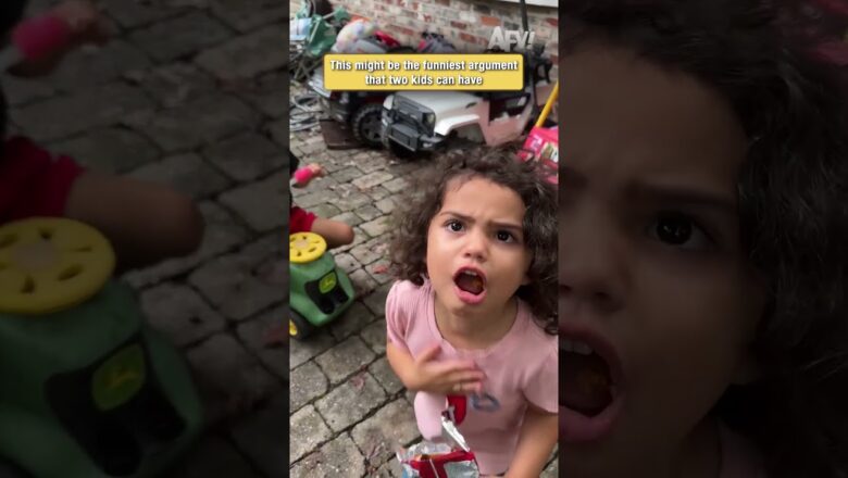This might be the funniest argument that two kids can have
