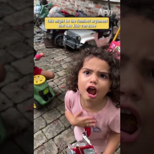 This might be the funniest argument that two kids can have
