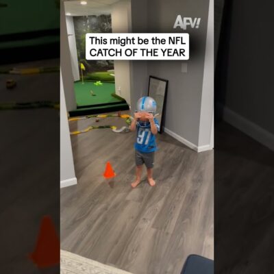 This might be the NFL CATCH OF THE YEAR