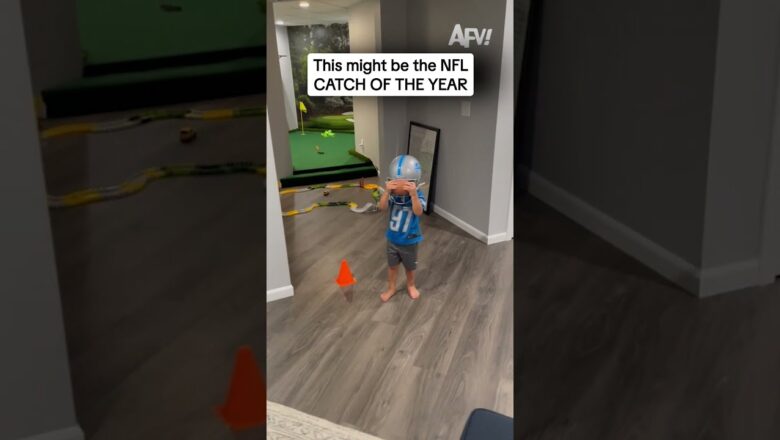 This might be the NFL CATCH OF THE YEAR