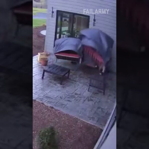 Twister took the entire patio set! 🌪️ #weather #tornado #emergency #fail #failarmy