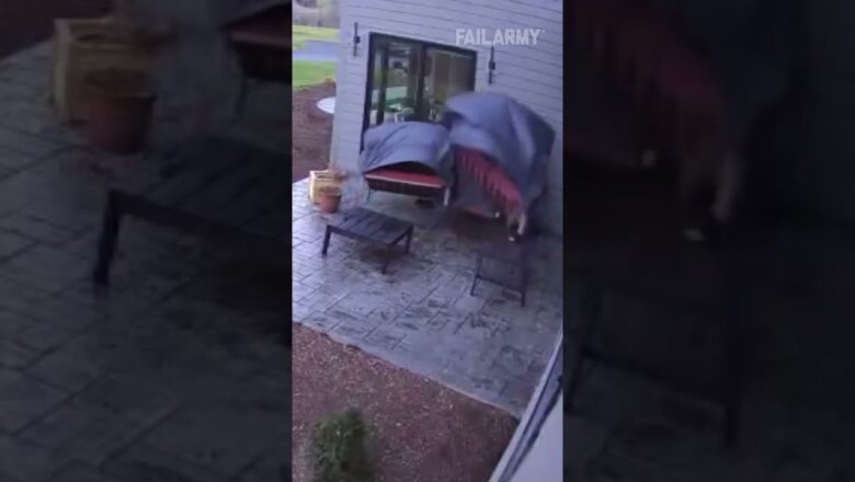 Twister took the entire patio set! 🌪️ #weather #tornado #emergency #fail #failarmy