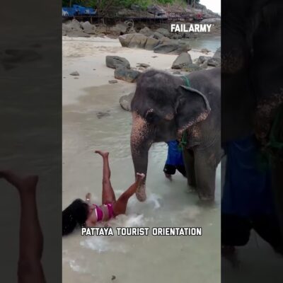After 9 months at sea, Thailand will be one hell of a port call #thailand #travel #travelfails #fail
