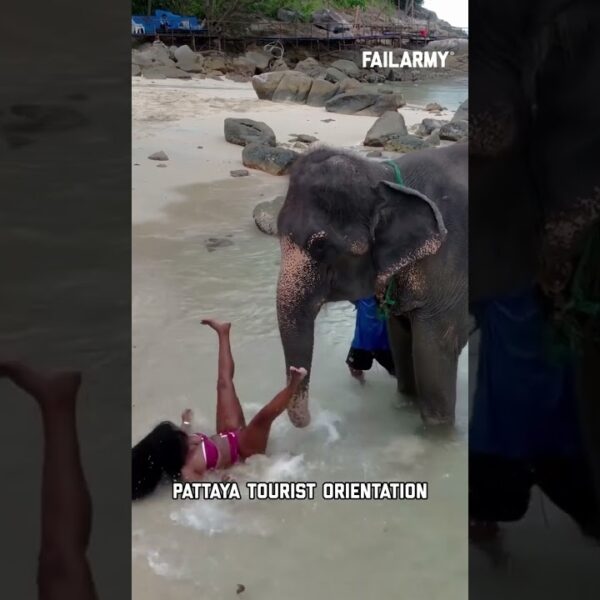 After 9 months at sea, Thailand will be one hell of a port call #thailand #travel #travelfails #fail