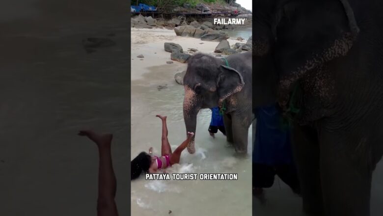 After 9 months at sea, Thailand will be one hell of a port call #thailand #travel #travelfails #fail