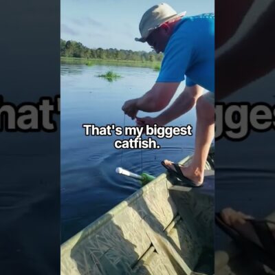 Catching a giant catfish