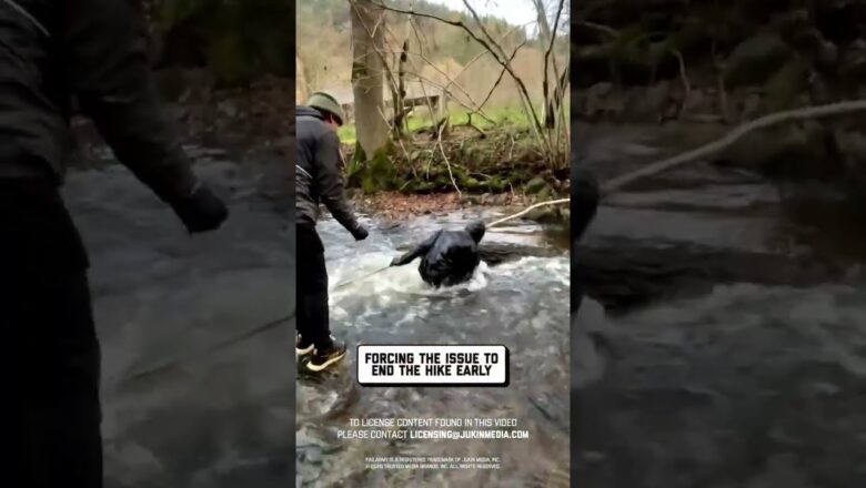 nature comes for all of us! 😩 🤣 #hiking #fails #viral #humor #instantregret