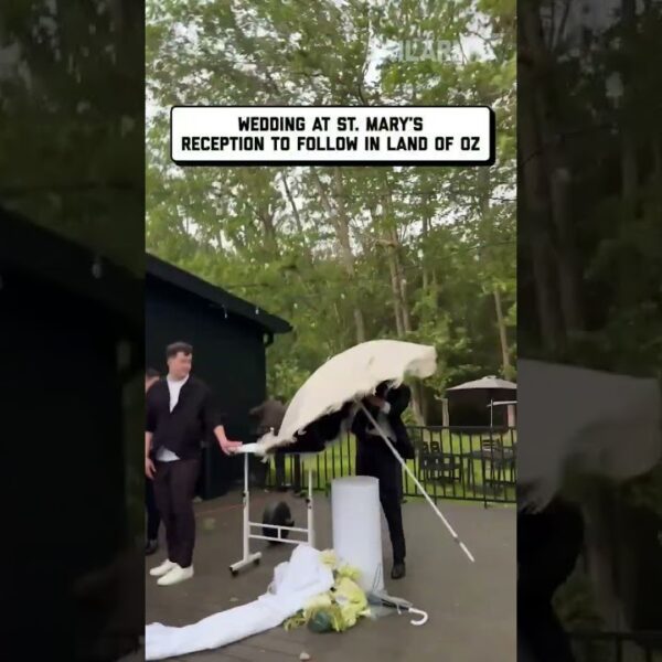 rain on ur wedding day- isn’t it demonic! #weatherfails #weddingfail #justmarried #hurricane #shorts