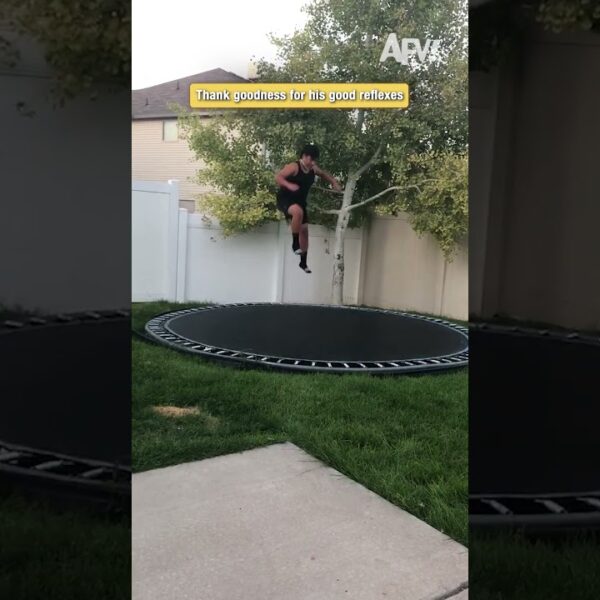 Thank goodness for his good reflexes