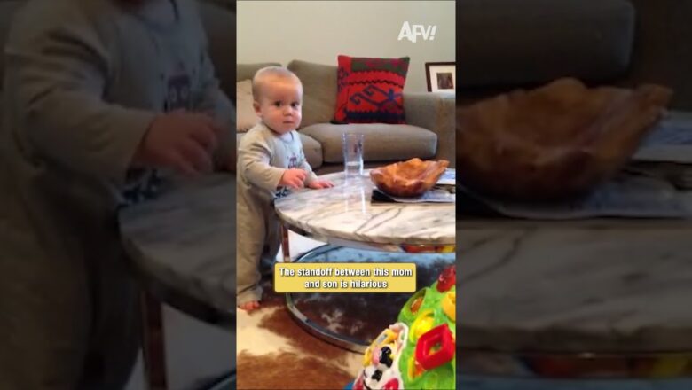 The standoff between this mom and son is hilarious