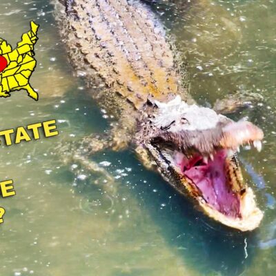 WE FOUND A FAIL IN EVERY STATE | Try Not To Laugh America Edition
