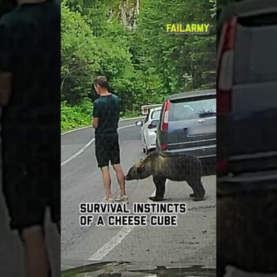 What happens when you don’t pay attention #bear #wildanimals #animalencounters #scare #shorts