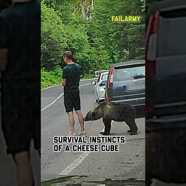What happens when you don’t pay attention #bear #wildanimals #animalencounters #scare #shorts