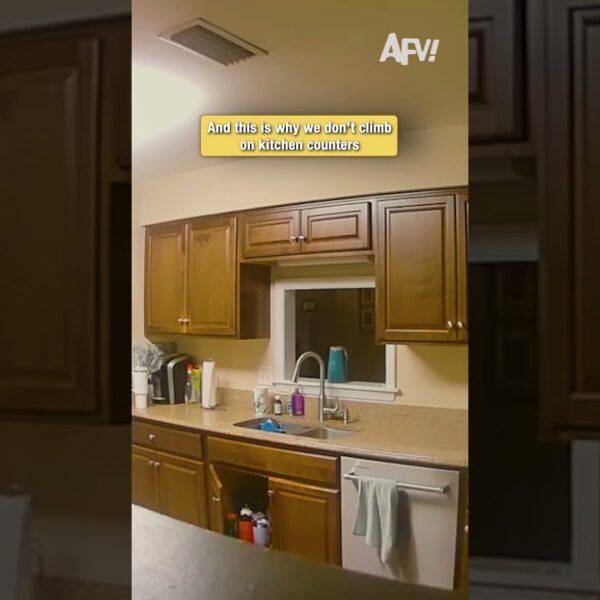 Why you should never climb on kitchen counters #fail #funny #kitchenfail