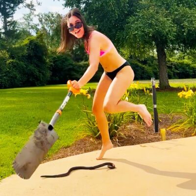 Best Fails of October 2026 😂 Impossible Try Not to Laugh Challenge!