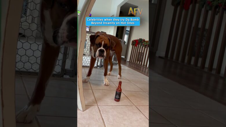 Hot Ones: The Boxer Edition 🌶️🔥 #funny #shorts