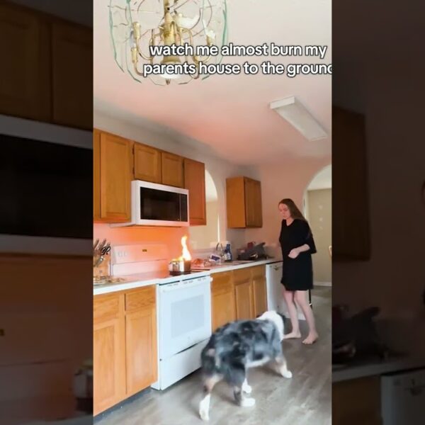 How did the dog know better than she did? #closecall #fire #dogs #shorts #cookingfails