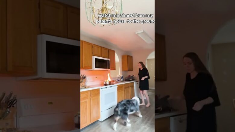 How did the dog know better than she did? #closecall #fire #dogs #shorts #cookingfails