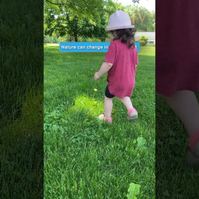 Nature can change in an instant 😂