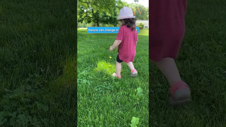 Nature can change in an instant 😂