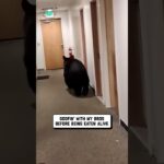 pov: dorm life in alaska 🐻 🤣
