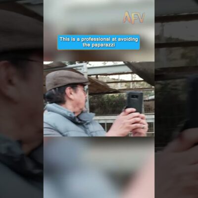 POV: You’re trying to film an Emu that doesn’t want to be famous 🚫📸 #funny #animals