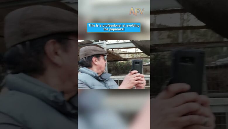 POV: You’re trying to film an Emu that doesn’t want to be famous 🚫📸 #funny #animals