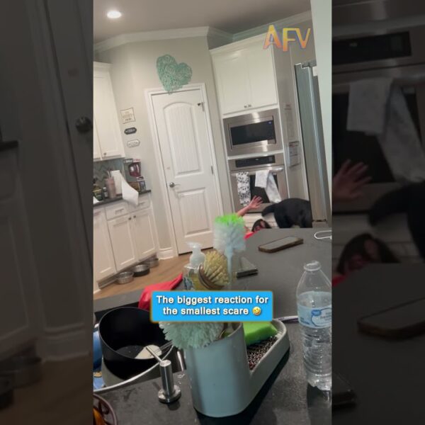 She Didn’t See This Coming 😂 #funny #scareprank