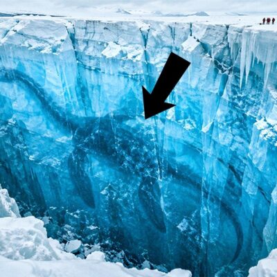 Something Terrifying Once Ruled Antarctica – And Scientists Found Its Traces