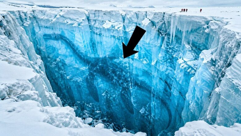 Something Terrifying Once Ruled Antarctica – And Scientists Found Its Traces