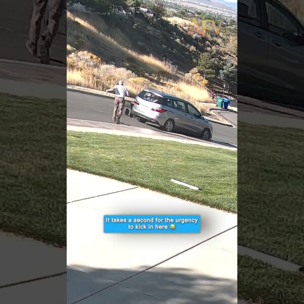 The moment he realized he lost #funny #shorts #fail