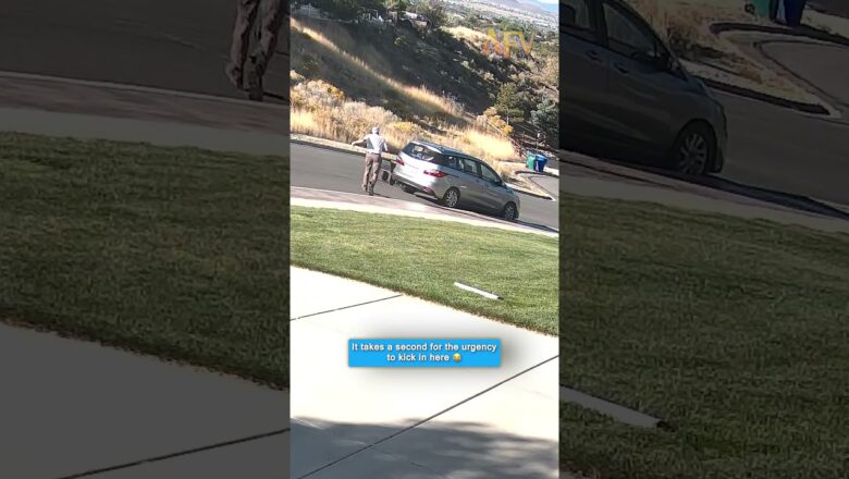 The moment he realized he lost #funny #shorts #fail