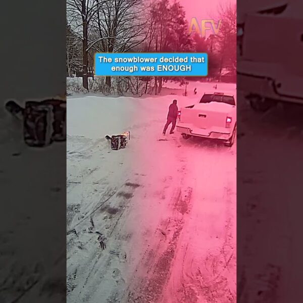 The snowblower decided that enough was ENOUGH