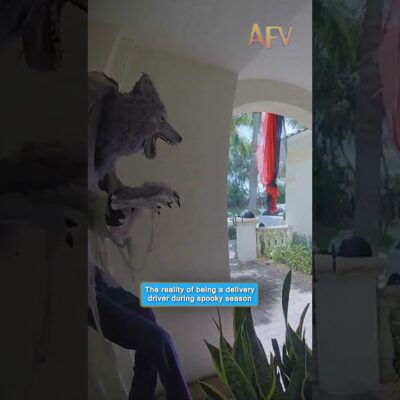 This delivery driver is never coming back 💀 #halloween #prank #funny
