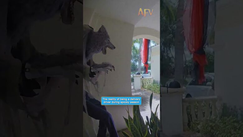 This delivery driver is never coming back 💀 #halloween #prank #funny