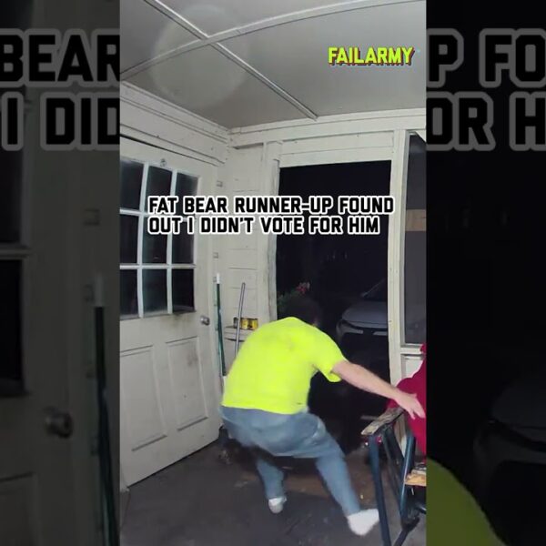 Trust me you do NOT want to anger a fat bear #fatbearweek #bears #bearattack #securitycamera #fail