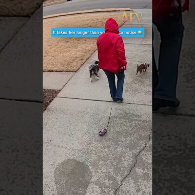 Watch how long it takes this woman to realize her dog is missing