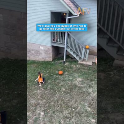 We’ll give you one guess at who has to go fetch the pumpkin out of the lake