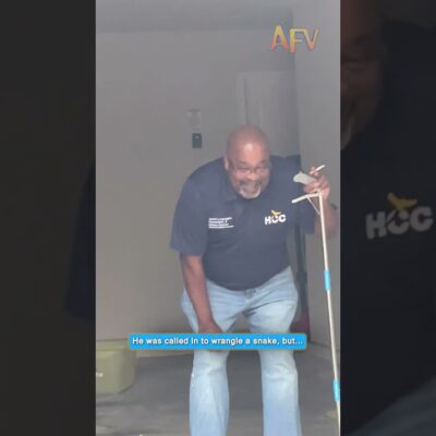You will not guess what the snake really was 😱 #AFV #Shorts