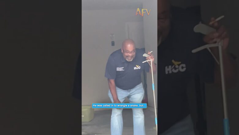 You will not guess what the snake really was 😱 #AFV #Shorts